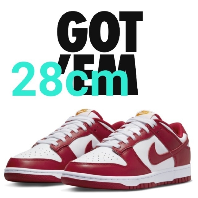 NIKE Dunk low GYM RED 28cm