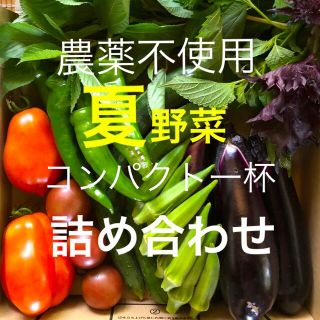 農薬：栽培期間中不使用 ♪夏野菜　詰め合わせ♪コンパクト　採りたて(野菜)