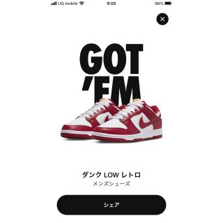 ナイキ(NIKE)のNike Dunk Low "Gym Red 29センチ(スニーカー)