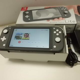 Nintendo Switch - Nintendo Switch Lite Gray 任天堂スイッチライト