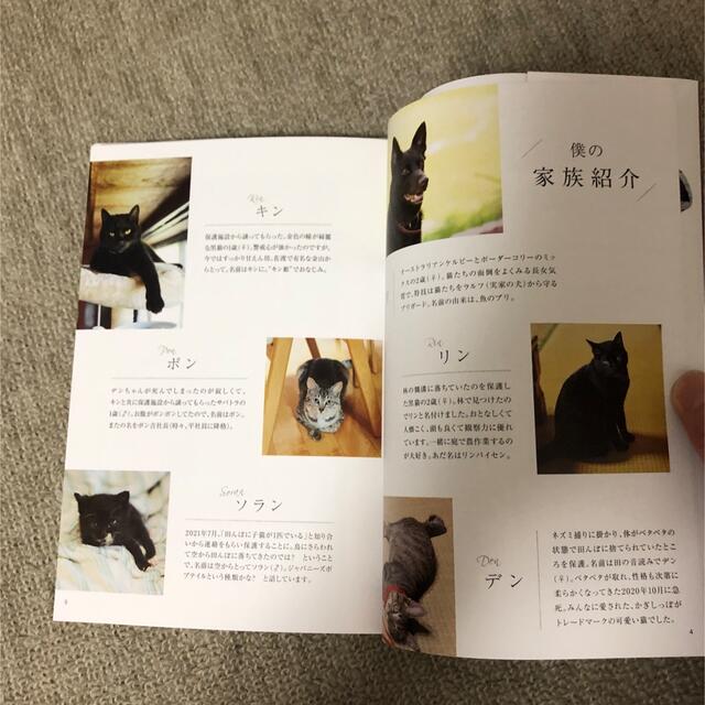 講談社(コウダンシャ)のタイピー日記「犬１匹、猫４匹との佐渡島暮らし」 エンタメ/ホビーの本(アート/エンタメ)の商品写真