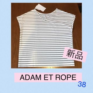 アダムエロぺ(Adam et Rope')のADAM ET ROPE サイズ38 コットンカットソー(カットソー(長袖/七分))