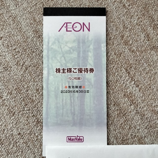 AEON イオン マックスバリュ 株主優待券 5000円分 | munchercruncher.com