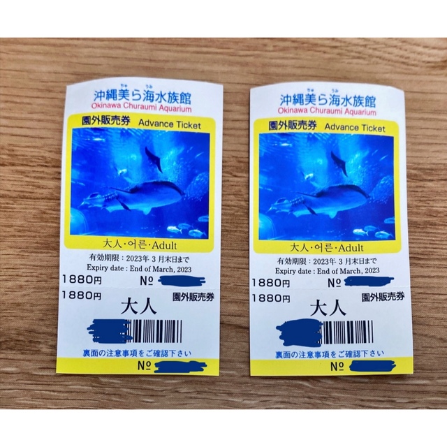 【kana⭐︎さま専用】美ら海水族館　大人ペアチケット チケットの施設利用券(水族館)の商品写真