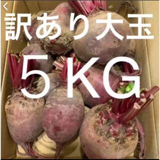 数限定　訳あり 大玉サイズ 北海道　江別産　無農薬　オーガニック　ビーツ　5kg(野菜)
