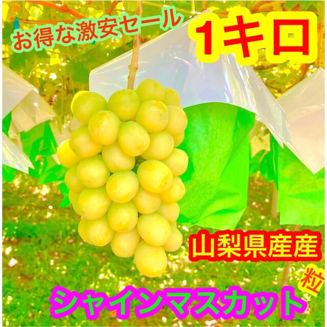 Sale  数量限定10箱-1  シャインマスカット　ぶどう箱込800g