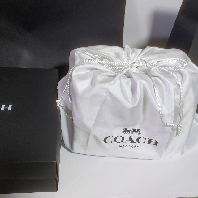 COACH(コーチ)のコーチ　coach　ローグ　レディース　ショルダー　トート　バッグ　レッド　新品 レディースのバッグ(ショルダーバッグ)の商品写真