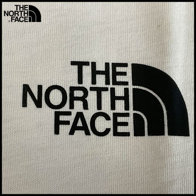 THE NORTH FACE(ザノースフェイス)のノースフェイス The North Face 半袖Tシャツ (36567) メンズのトップス(Tシャツ/カットソー(半袖/袖なし))の商品写真