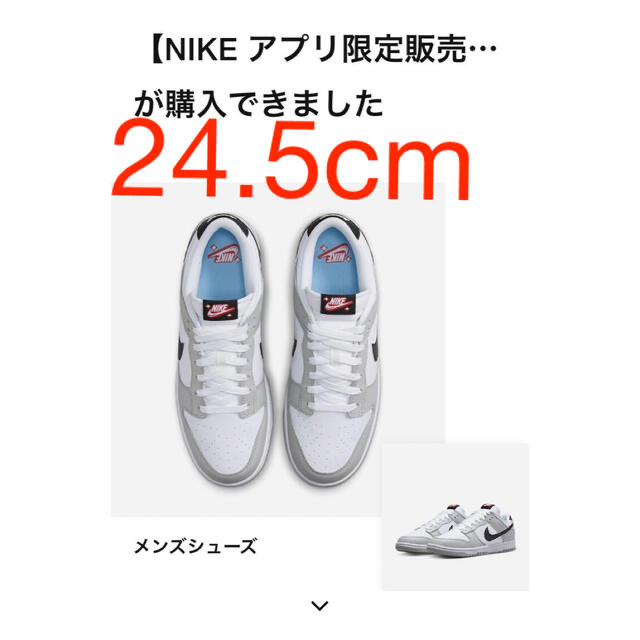 NIKE(ナイキ)のナイキ ダンク ロー SE ロッタリー "グレーフォグ / ライトクリムゾン メンズの靴/シューズ(スニーカー)の商品写真