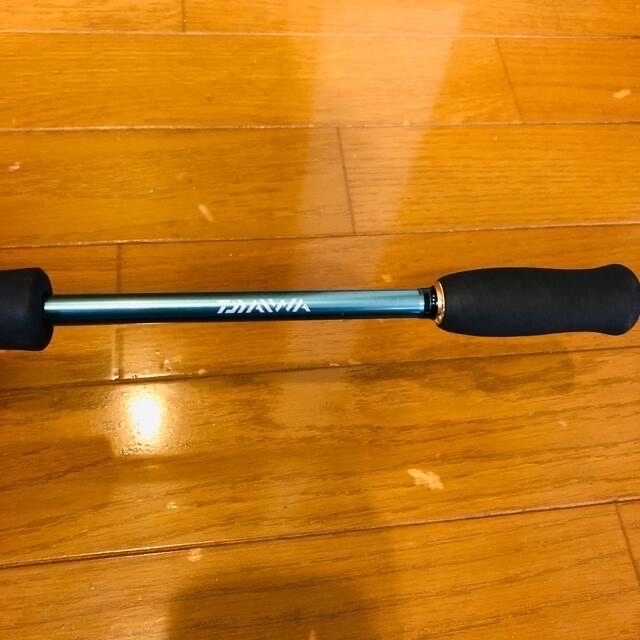 DAIWA(ダイワ)のあかさかさかす様専用 スポーツ/アウトドアのフィッシング(ロッド)の商品写真