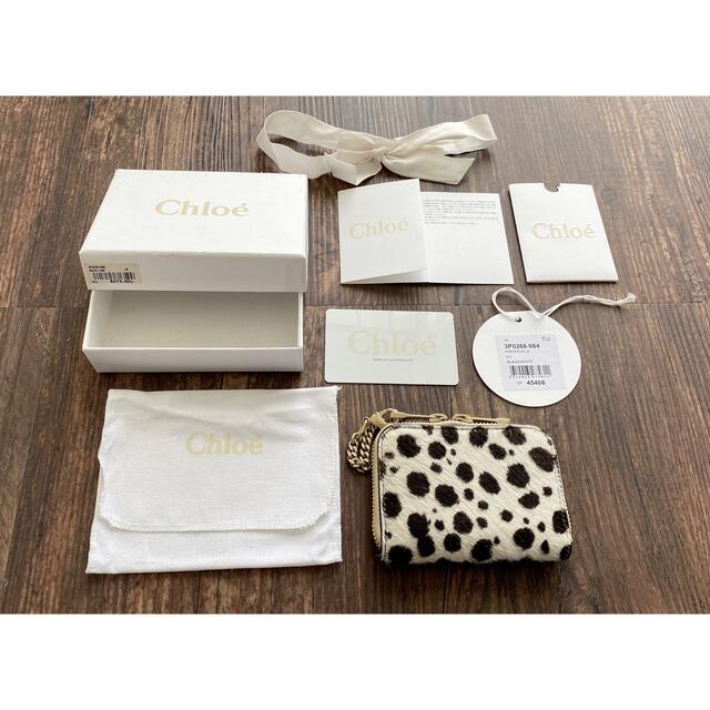 Chloe ダルメシアン　ハラコ　ミニ財布　カードケース財布