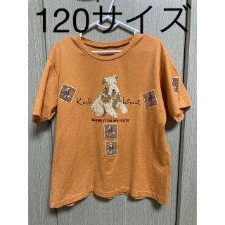 カールヘルム(Karl Helmut)のKarl Helmut 半袖Tシャツ　テリア　120(Tシャツ/カットソー)