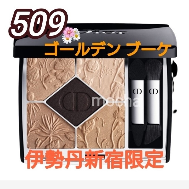 Dior ディオール サンク クルール クチュール 509コーディング