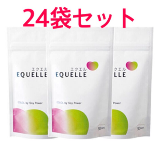 大塚製薬 - エクエル　120粒×24袋セット　未開封品です