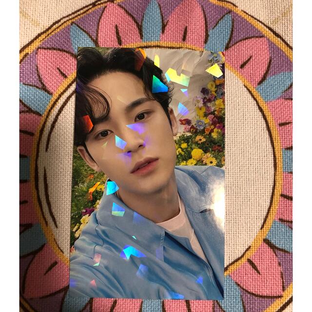 99%以上節約 SEVENTEEN DREAM ユニバ ラキドロ ミンギュ fawe.org