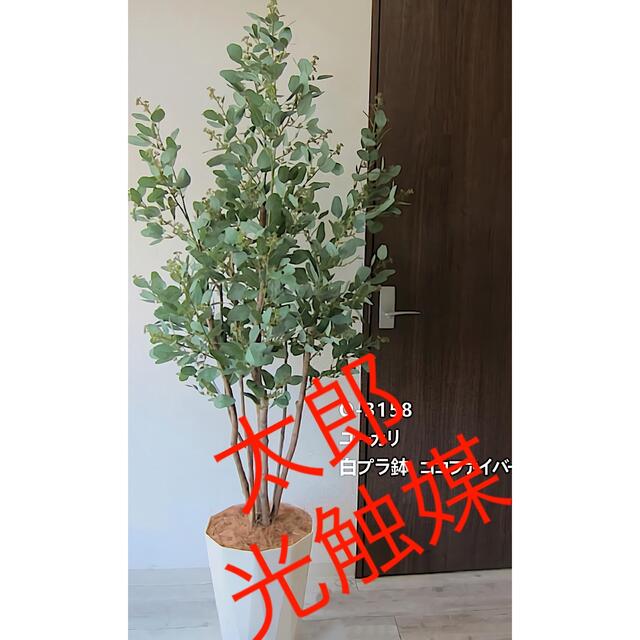 光触媒 人工観葉植物 ウォールグリーン フェイク フラワー ユーカリ180