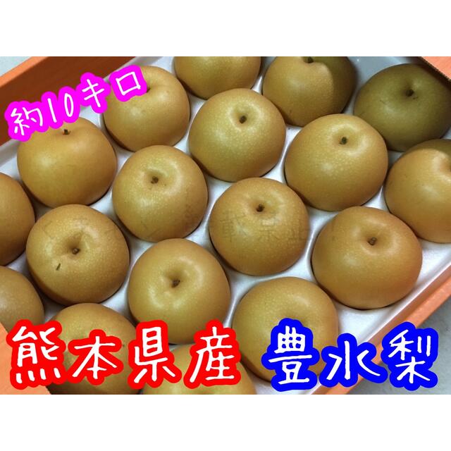 くまモンの特産品熊本県産 豊水梨 約10キロ