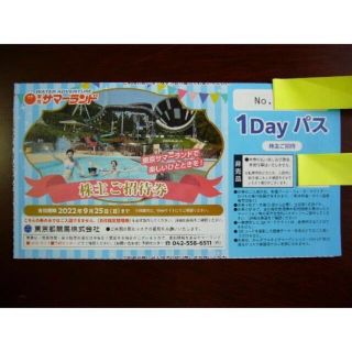 東京都競馬 株主優待 1Dayパス東京サマーランド 株主ご招待券 1枚(その他)