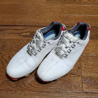 フットジョイ(FootJoy)の71さん専用　FootJoy　dna　ゴルフシューズ　25cm(シューズ)