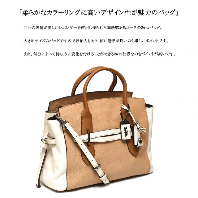 COACH(コーチ)の【美品】◇コーチ◇ ブラウン / マルチカラー / レザー / 2wayバッグ レディースのバッグ(ショルダーバッグ)の商品写真