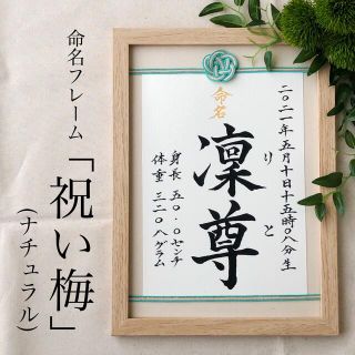 命名書オーダー　水引フレーム「祝い梅」ナチュラル(命名紙)