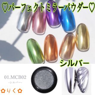❣️SALE❣️【シルバー】パーフェクトミラーパウダー♡チップ付き！1個入り(ネイル用品)