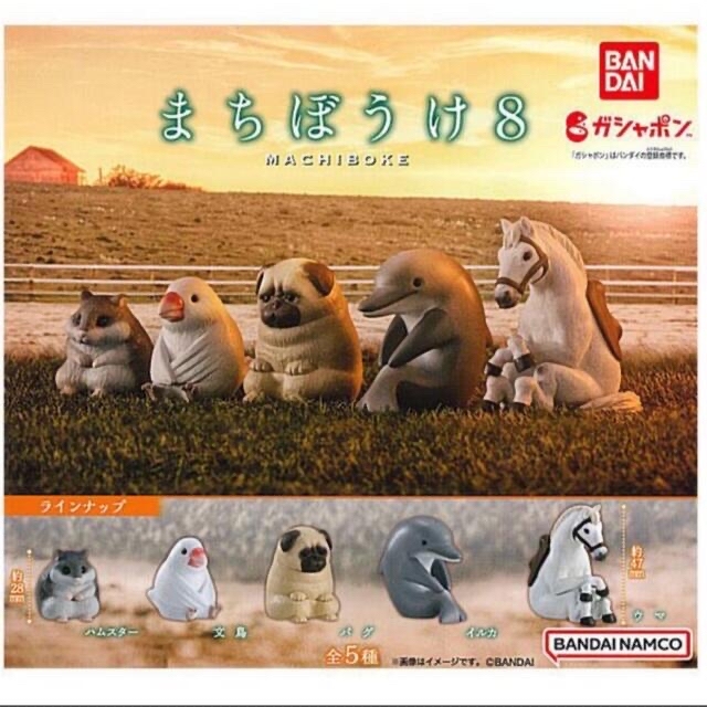 まちぼうけ8  イルカ エンタメ/ホビーのおもちゃ/ぬいぐるみ(キャラクターグッズ)の商品写真