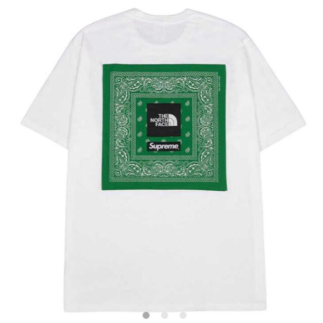 Supreme / The North Face Bandana TeeTシャツ/カットソー(半袖/袖なし)