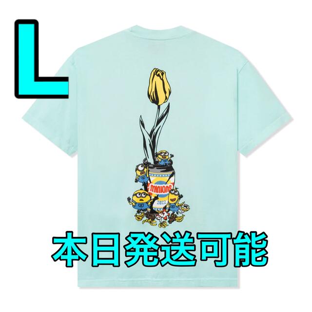 WASTED YOUTH MINIONS Teeミニオン verdy