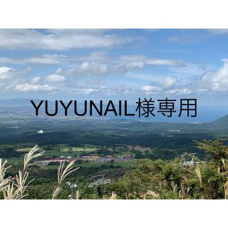 YUYUNAIL様専用ページ(その他)