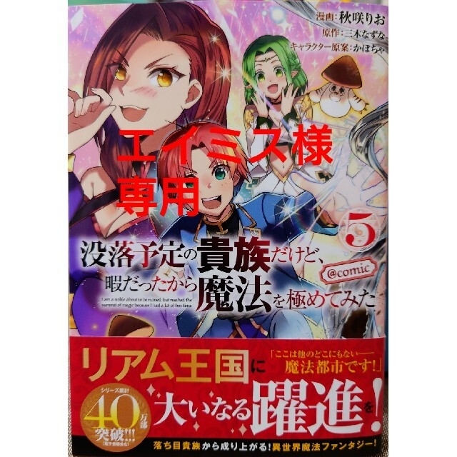 早い者勝ち 没落予定の貴族だけど 暇だったから魔法を極めてみた@COMIC