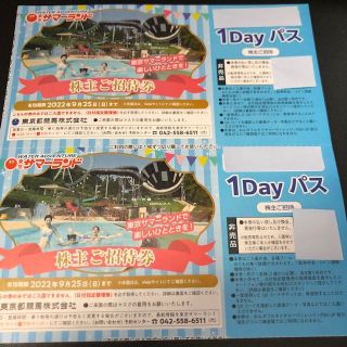 東京サマーランド 株主優待 1Dayパス券 3枚 2022.9.25まで　(遊園地/テーマパーク)