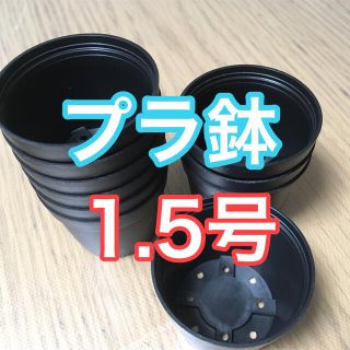 プラ鉢 1.5号 黒10個 新品未使用 (その他)