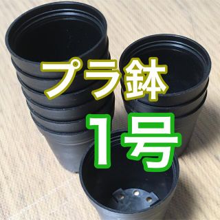 プラ鉢 1号 黒10個 新品未使用 (その他)