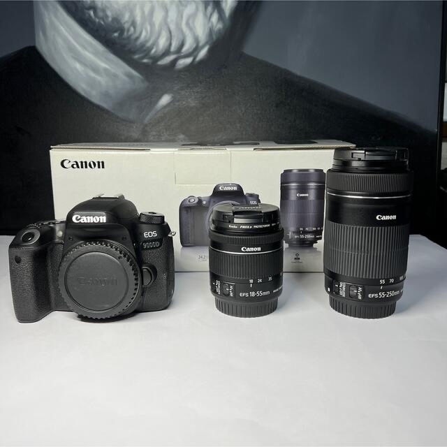 待望☆】 Canon ダブルズームキット 付属品完備 9000D EOS Canon デジタル一眼 