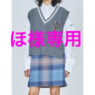 ダブルスタンダードクロージング(DOUBLE STANDARD CLOTHING)のほ様専用❣️ダブスタ❣️ DSC / Vネックニットベスト(ベスト/ジレ)