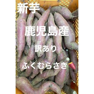 鹿児島産　訳ありふくむらさき　箱込5キロ(野菜)