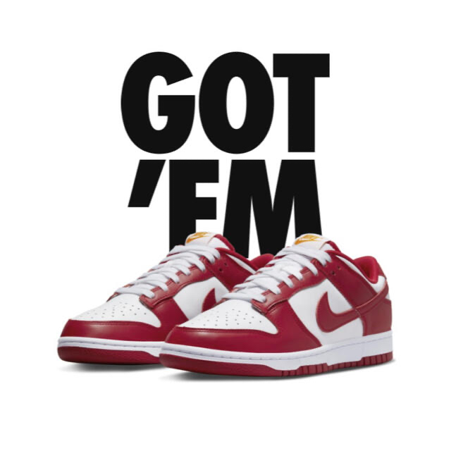 Nike Dunk Low  Gym Red ナイキ　ダンク　ロー　28cm