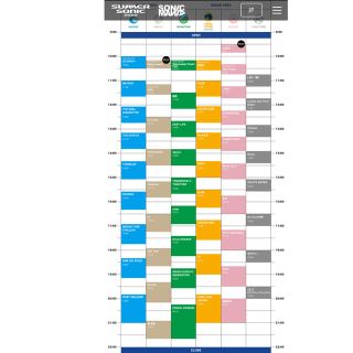 サマーソニック　プラチナチケット2枚　8/21東京(音楽フェス)