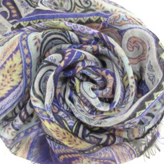エトロ ストールの通販 600点以上 | ETROを買うならラクマ
