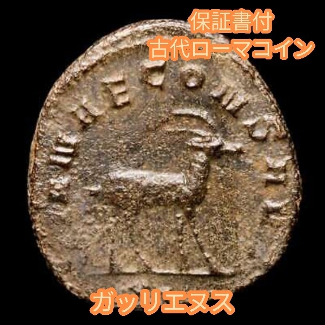 リキニウスⅠ世 古代ローマコイン 銅貨 アンティークコイン 20220515b