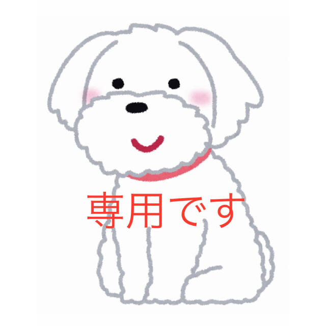 専用ハンドメイド犬服ワンピースM | zoukei-rythmique.jp