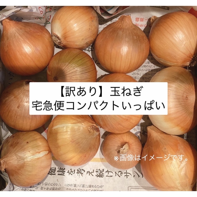 【訳あり品】玉ねぎ たまねぎ　ケル玉 60サイズ　3Kg超 食品/飲料/酒の食品(野菜)の商品写真