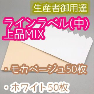 ラインラベル 中 茶 白 各50枚  カラーラベル 多肉植物 エケベリア(プランター)