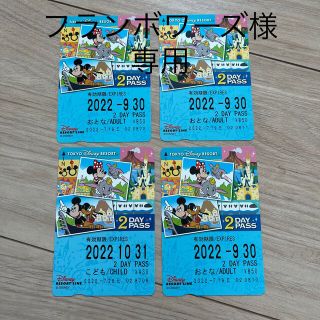 【専用出品】ディズニーリゾートライン　2デイパス(遊園地/テーマパーク)