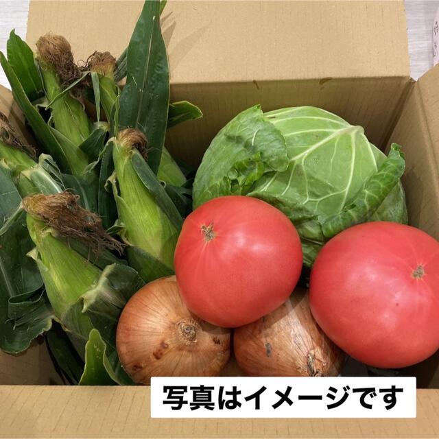 青森県産　野菜詰め合わせ　嶽きみ　80サイズ 食品/飲料/酒の食品(野菜)の商品写真