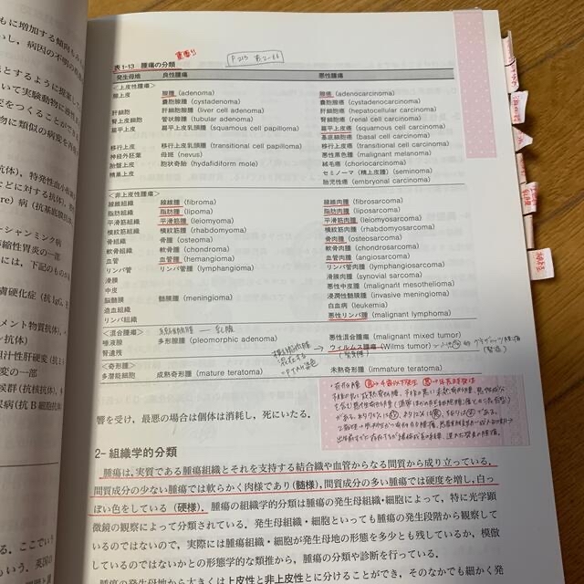 病理学／病理検査学 エンタメ/ホビーの本(健康/医学)の商品写真