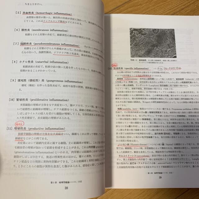 病理学／病理検査学 エンタメ/ホビーの本(健康/医学)の商品写真