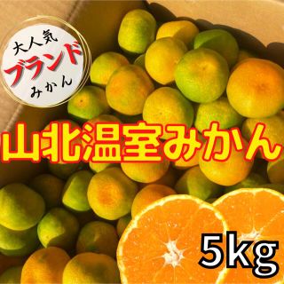 高知県産 山北みかん 温室 みかん 5kg ご家庭用(フルーツ)