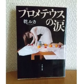 プロメテウスの涙(文学/小説)